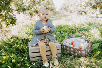 Orchard