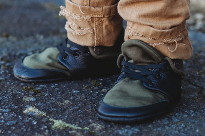Olive Collection